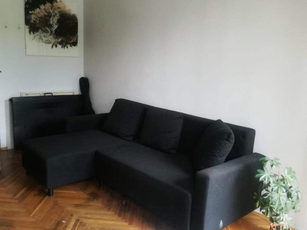 كراكوفيا Spacious Apartment المظهر الخارجي الصورة